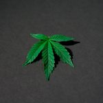 Looking for the best deal on a THC vape in Prague? Our online vape shop offers a wide range of cannabis vape products— from vape pens and vape cartridges to e‑liquid and vape accessories— all at competitive prices. img-1424.jpg