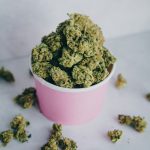 Welcome to the premier destination for high‑quality hemp, cannabis, and marijuana products in Prague img-2058.jpg