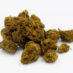 Prague Hemp Market Your One Stop Hemp Platform img-2844.jpg