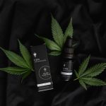 Welcome to the premier hemp shop in Prague – a fully licensed and professionally managed hemp store that offers a wide range of cannabis, marijuana, hemp, THC, and weed products. img-2938.jpg