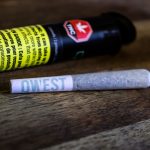 Cheap Hemp Delivery in Prague img-2987.jpg