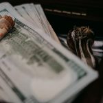 Prague Weed Delivery: The Ultimate Guide to Cannabis Delivery in Prague 2024 img-3299.jpg