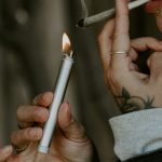 Prague Cannabis Shop img-3393.jpg