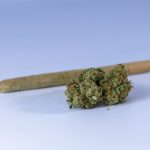 Prague’s Downtown Cannabis Scene: A Guide to Legal Landscape, Shops, and Culture img-50.jpg