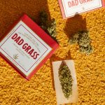 Prague Cannabis Vape Shop: Premium THC Cartridges & Vaping Solutions img-543.jpg